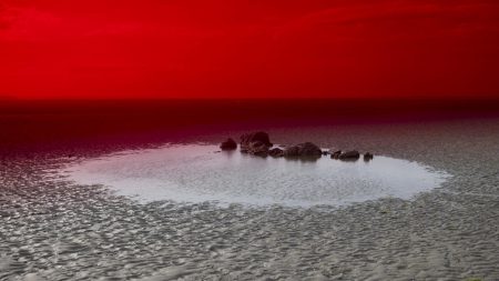 La beauté et le fléau : la quête d'un photographe pour dénoncer un désastre écologique