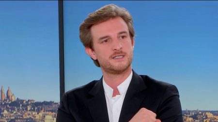 Budget 2025 : "On craint [le 49.3] pour la démocratie", assure Andréa Kotarac, porte-parole du RN