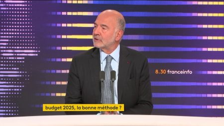 Budget 2025 : "Nous avons besoin d'investissements massifs dans la transition écologique", soutient Pierre Moscovici