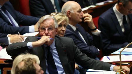 Budget 2025 : l’article 49.3 pour « sécuriser le vote », d’après une constitutionnaliste Budget 2025 : l'article 49.3 est un instrument pour "sécuriser le vote", selon une constitutionnaliste