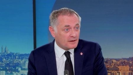 Budget 2025 : "Il faut dépenser moins et dépenser mieux", affirme le député Philippe Juvin