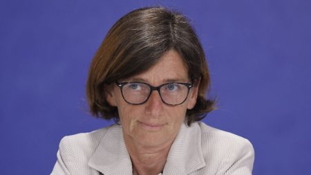 Condamnation d’Agnès Firmin-Le Bodo pour liens avec l’industrie pharmaceutique L'ancienne ministre de la Santé Agnès Firmin-Le Bodo condamnée pour ses liens avec l’industrie pharmaceutique
