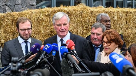 Crise agricole : Michel Barnier annonce des prêts garantis, 75 millions d'euros pour les éleveurs de brebis