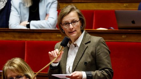 Des députés créent un collectif pour représenter le centre-gauche à l’Assemblée Des députés fondent un "collectif social-démocrate" pour incarner le centre-gauche à l'Assemblée