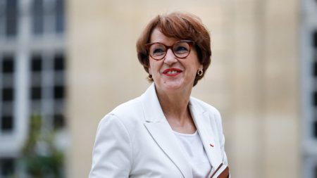 Épizootie ovine et bovine : la ministre de l'Agriculture promet une "réponse indemnitaire" et la mise en place d'une "stratégie vaccinale"