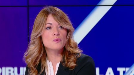 Immigration : une "nouvelle loi" en 2025, annonce la porte-parole du gouvernement