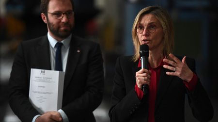 Les parlementaires insoumis veulent "saisir le Conseil constitutionnel" sur le "cumul" des mandats des ministres Antoine Armand et Agnès Pannier-Runacher