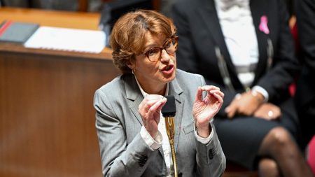 Mercosur : l’accord doit « impérativement » passer devant le Parlement, dit la ministre de l’Agriculture Mercosur : pour la ministre de l'Agriculture, il est "indispensable" que le projet d'accord passe devant le Parlement