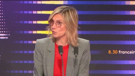 Maintien en détention de Paul Watson au Groenland : Agnès Pannier-Runacher appelle à la libération du défenseur des baleines