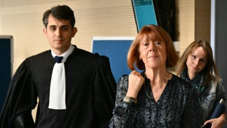 Procès des viols de Mazan : Gisèle Pelicot "avait envie d'envoyer un message aux victimes de viol sur le fait qu'il ne faut pas avoir honte", selon son avocat