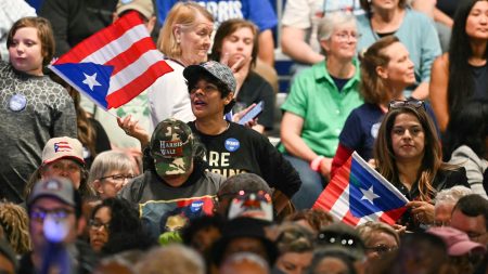 Propos racistes d’un humoriste: des Portoricains de Floride voteront contre Trump :
Reportage
"Un manque de respect inacceptable" : après les propos racistes d'un humoriste, des Portoricains de Floride voteront contre Donald Trump