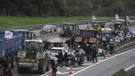 Les agriculteurs français protestent contre l’accord UE-Mercosur et bloquent les autoroutes du sud de la France