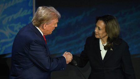 Gestion de la défaite, "nécessité d'unifier le pays"... comment Kamala Harris et Donald Trump ont géré le "jour d'après"