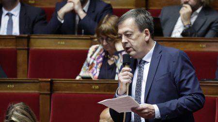 Députés NFP vs MoDem : altercation avec Nicolas Turquois, ce que l’on sait Ce que l'on sait de l'altercation entre des députés du NFP et le MoDem Nicolas Turquois