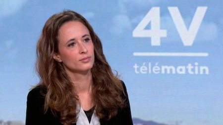 LFI et Clémence Guetté : Divergences avec le RN "Nous ne somme pas sur les mêmes positions que le RN", assure la député LFI, Clémence Guetté