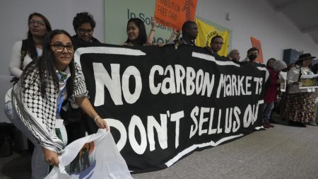 Les Africains défendent les systèmes alimentaires et la justice climatique à la Cop29