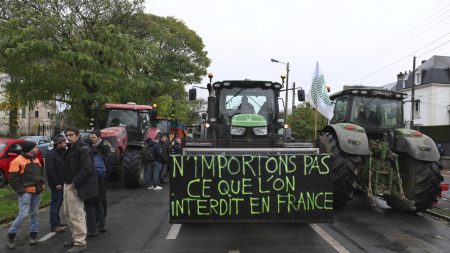 Les agriculteurs français se préparent à manifester pour négocier avec le Premier ministre Barnier