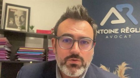 Mort d'Antoine Alléno : la peine s'explique par "un tas de circonstances aggravantes", selon Antoine Regley, avocat en droit routier