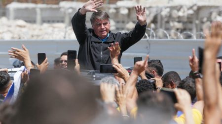 :
    Reportage




  

    
      
    
  
  "On compte beaucoup sur la victoire de Trump" : au Brésil, les partisans de Jair Bolsonaro reprennent espoir