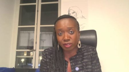 Résultats de la présidentielle américaine 2024 : "Le vote barrage ne suffit pas à incarner une alternative", estime la députée LFI Nadège Abomangoli