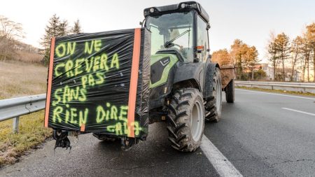 Le ministère de l'Agriculture détaille les prêts bonifiés dont pourront bénéficier les agriculteurs, avant une nouvelle mobilisation du secteur