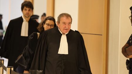 Procès des assistants parlementaires du FN : l'avocat du Parlement européen "plutôt hostile à l'exécution provisoire" des peines