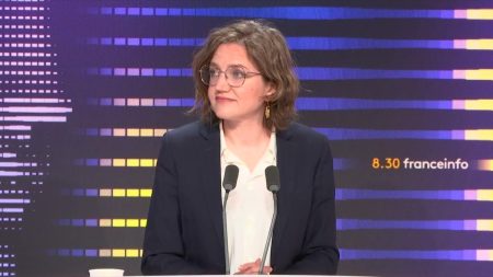 Report de la loi européenne contre la déforestation : "C'est un drame environnemental, climatique et économique", dénonce l'eurodéputée écologiste Marie Toussaint