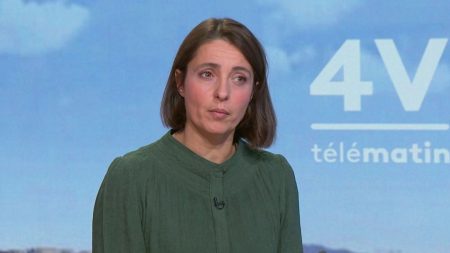 Plans sociaux : "Tous les indicateurs sont inquiétants", alerte Sophie Binet, secrétaire générale de la CGT