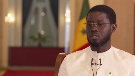 Tirailleurs sénégalais : la France reconnaît un massacre, affirme le président du Sénégal Tirailleurs sénégalais : la France "reconnaît" dans une lettre "un massacre", selon le président du Sénégal