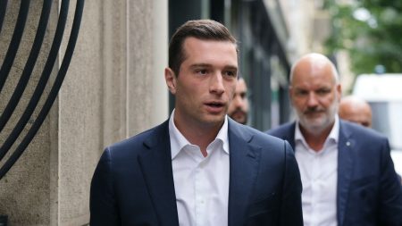 UE-Mercosur : "Le pronostic vital de l’agriculture française est aujourd’hui engagé", prévient le président du RN Jordan Bardella, qui appelle à la "protéger"