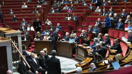 UE-Mercosur : Les députés majoritairement contre, la Pologne s’oppose aussi Accord entre l'UE et le Mercosur : les députés se prononcent majoritairement contre, la Pologne s'oppose à son tour