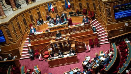 UE-Mercosur : le Sénat rejoint l’Assemblée pour s’opposer au traité. Accord entre l'UE et le Mercosur : après l'Assemblée, le Sénat soutient à son tour le gouvernement pour s'opposer au traité