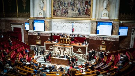 Vote des députés français : quel impact sur l’accord UE-Mercosur ? Mercosur : que peut changer le vote des députés français sur le futur accord avec l'UE ?