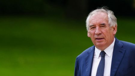 Nouveau gouvernement : "François Bayrou a toutes les qualités requises pour la fonction" de Premier ministre, assure le vice-président du MoDem