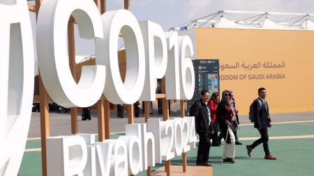 La COP16 contre la désertification à Ryad s'achève sans un accord sur la sécheresse