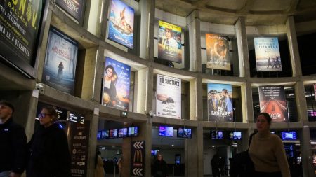 Cinéma : "Un très bon cru" avec plus de 181 millions d'entrées en 2024, annonce le président du CNC par intérim