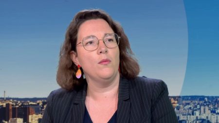 Nouveau gouvernement : "Bernard Cazeneuve n'est plus de gauche", estime la députée Cyrielle Chatelain