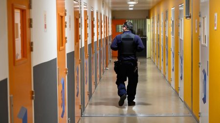 Ministère de la Justice : "L'exécution des peines, c'est de l'orfèvrerie, c'est de l'individualisation" déclare le président de l'Observatoire international des prisons