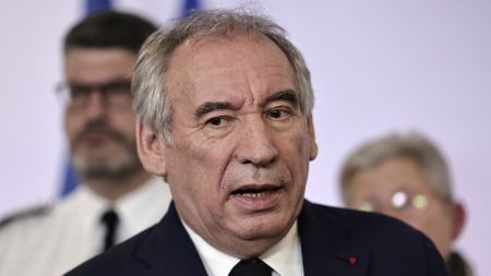 François Bayrou critiqué pour sa participation au conseil municipal de Pau en même temps qu'une réunion de crise "à distance" sur la situation à Mayotte