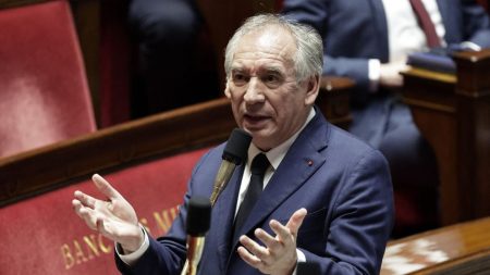 "On n'a pas le droit de séparer la province et le cercle des pouvoirs à Paris" : en pleine crise à Mayotte, François Bayrou défend sa présence à Pau pour assister au conseil municipal