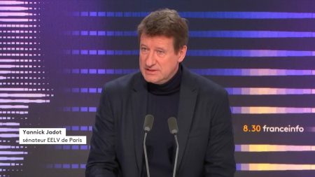 Nouveau gouvernement : en cas de Premier ministre de gauche, "nous ne recourons pas au 49.3", promet Yannick Jadot