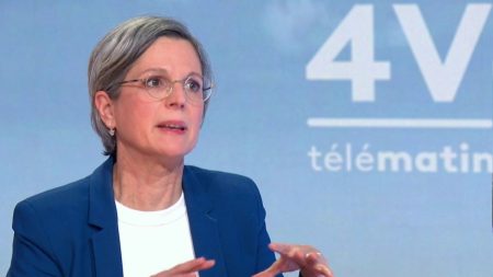 Nouveau gouvernement : "La censure est toujours sur la table", assure la députée Sandrine Rousseau