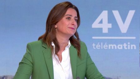 Nouveau gouvernement : Marine Tondelier demande un Premier ministre "issu des rangs du Nouveau Front populaire"