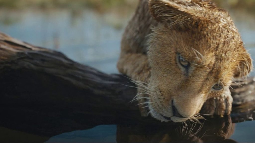 "Mufasa : le Roi Lion", le retour de la légende bientôt en salle