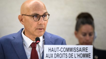 Chute de Bachar al-Assad : Le Haut-Commissaire de l'ONU aux droits de l'homme veut "déployer au plus vite" les enquêteurs des Nations unies en Syrie