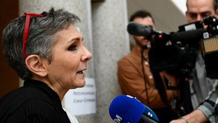 Procès des viols de Mazan : "Bien sûr que je dis 'Merci Gisèle Pelicot !'", confie Béatrice Zavarro, avocate de Dominique Pelicot