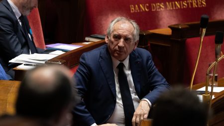 "Provocation", "mauvais cadeau de Noël", "loin du nouveau monde"… Les réactions politiques après l'annonce du gouvernement Bayrou