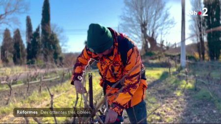 Réformes attendues : premiers arbitrages du gouvernement Bayrou Réformes attendues : l’heure des premiers arbitrages pour le gouvernement Bayrou