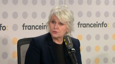 Procès des viols de Mazan : l'ancienne ministre déléguée à l'Egalité femmes-hommes, Isabelle Rome, souhaite que "la notion de non-consentement" soit introduite dans la loi sur le viol