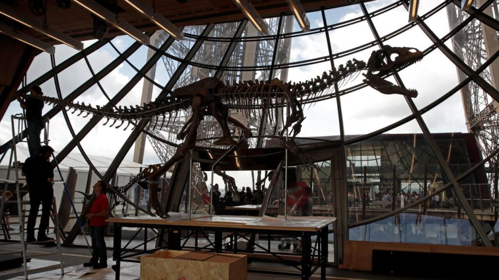 Le financement de la recherche de fossiles de dinosaures diminue alors que l’intérêt des Français augmente